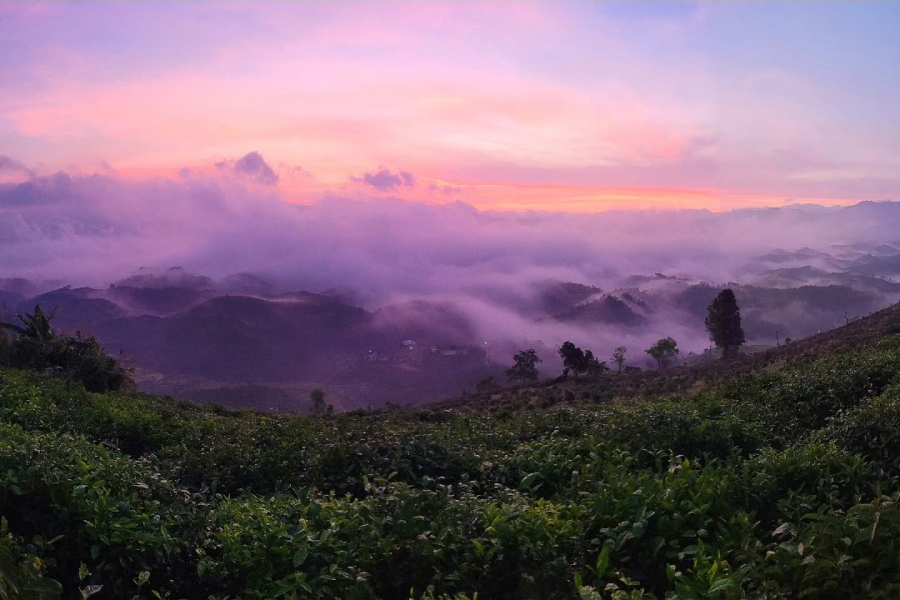 instagram-image