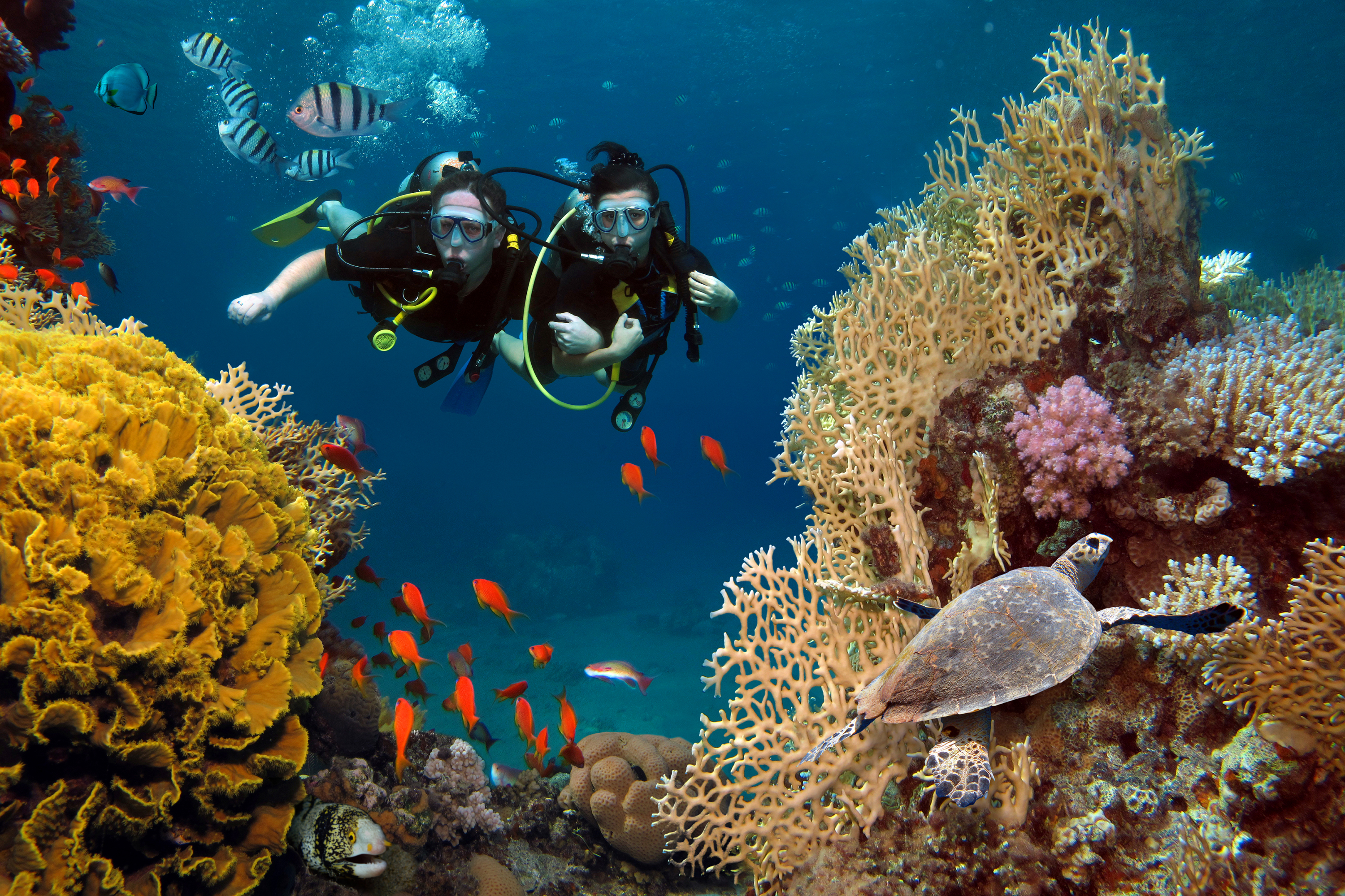 Underwater Activities in Phu Quoc | Vietnam Tourism
