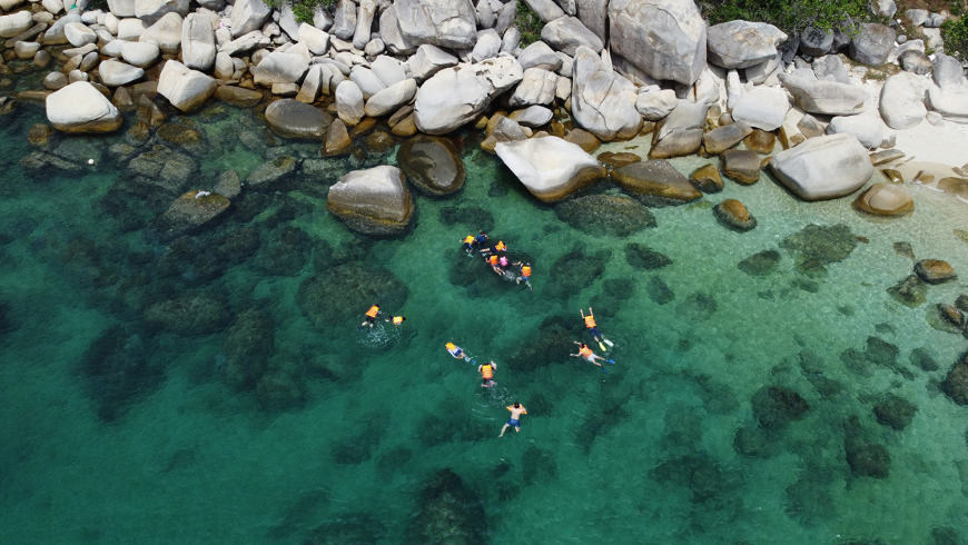 Whale Island Resort