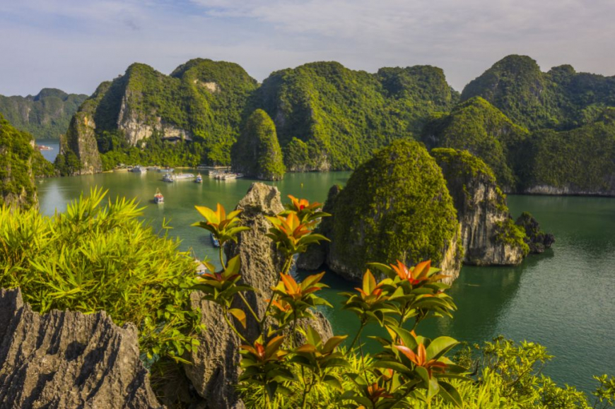 halong