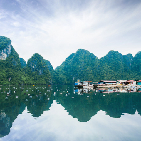vietnam tourism 2019