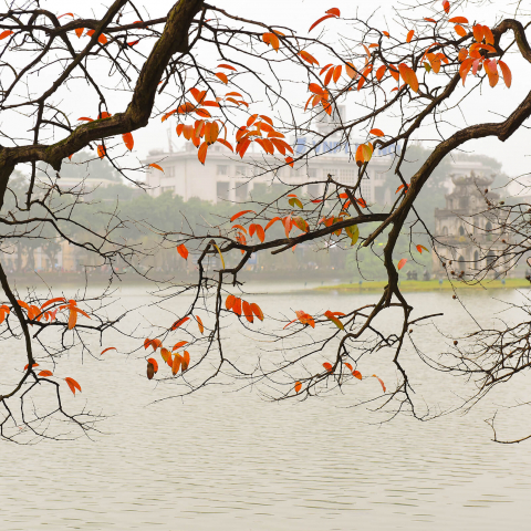 autumn scenery from North Vietnam