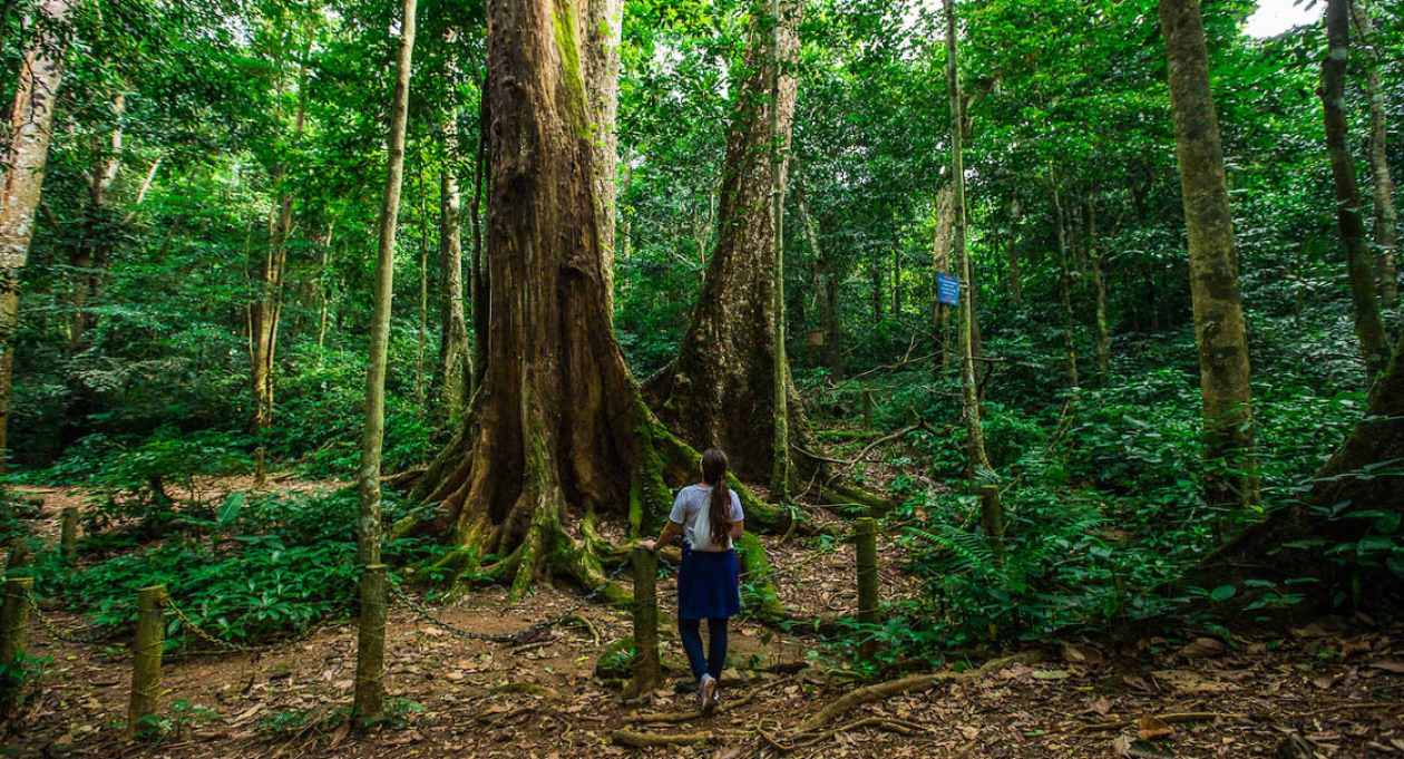 what is tourism like in vietnam